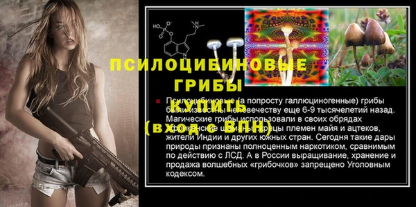 дмт Горно-Алтайск