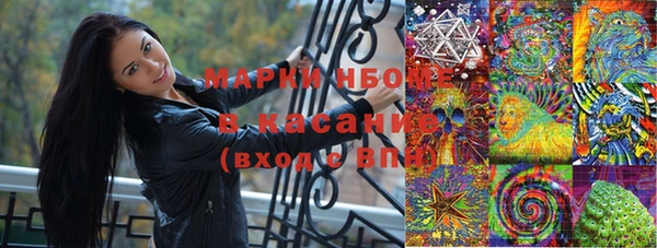 spice Горняк