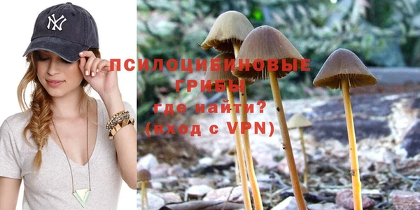 трава Горнозаводск